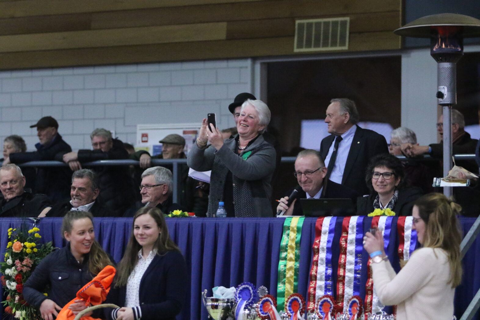 NWPCS National Stallion Show. Photo: Theo ten Brinke