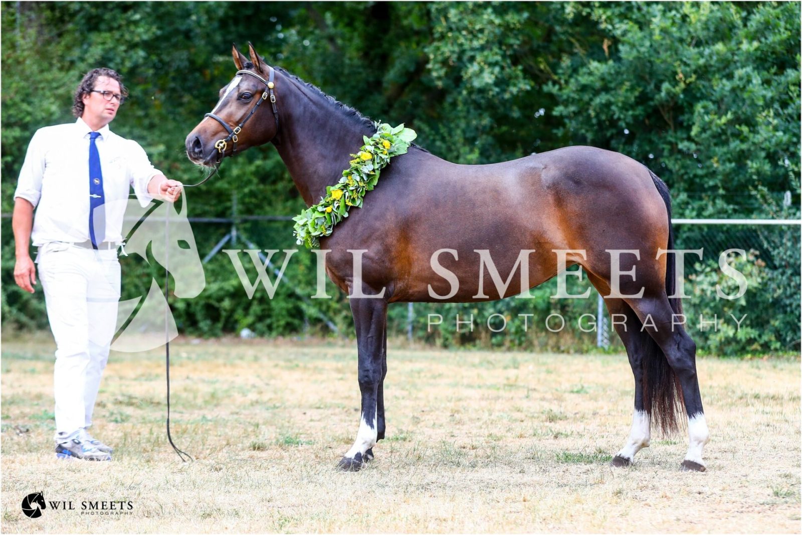 Bloklands Hoeve's Veronika. Foto: Wil Smeets