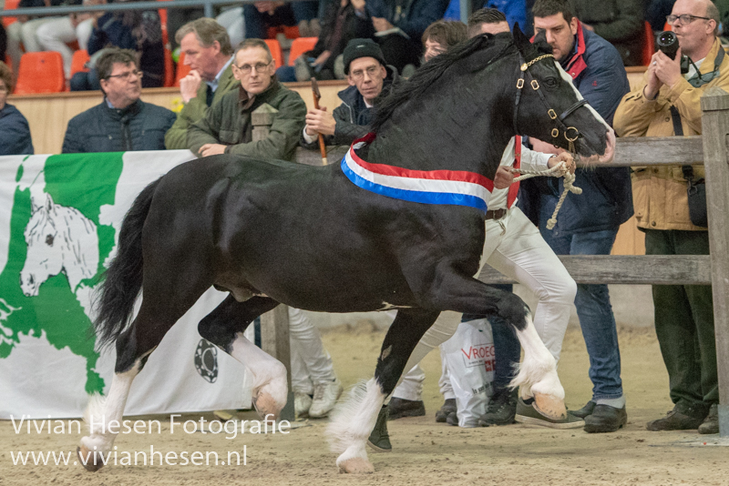 fronarth defoe, hengstenkeuring