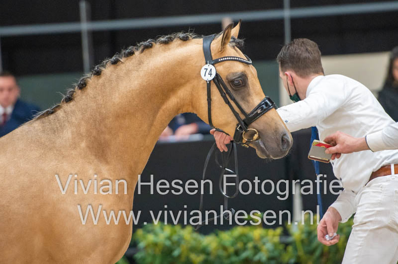 CHK 2021 74 Thrianta's Jagger NWR