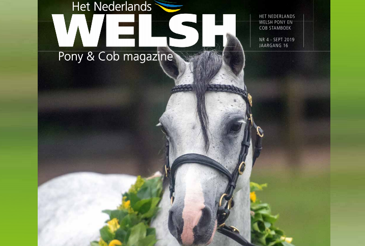 cover Welsh Magazine