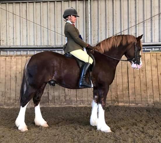 Cunera William Ap Lloyd met Sophie Bettison.