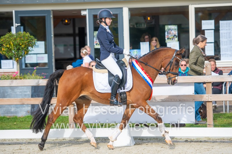 De Goede Ree Now Or Never Sportdag Putten 2021. Foto Vivian Hesen