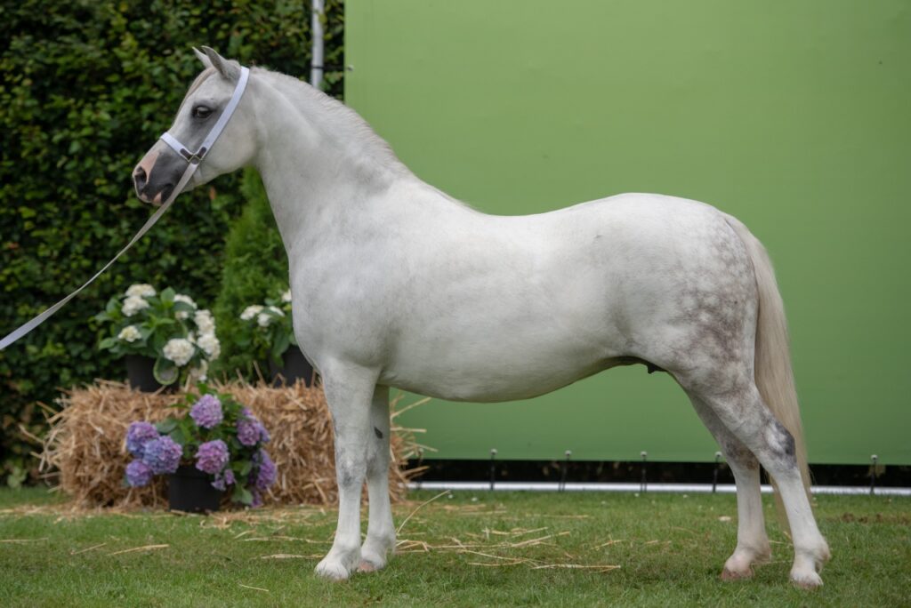 Langvennen Na Amau, RK Heteren