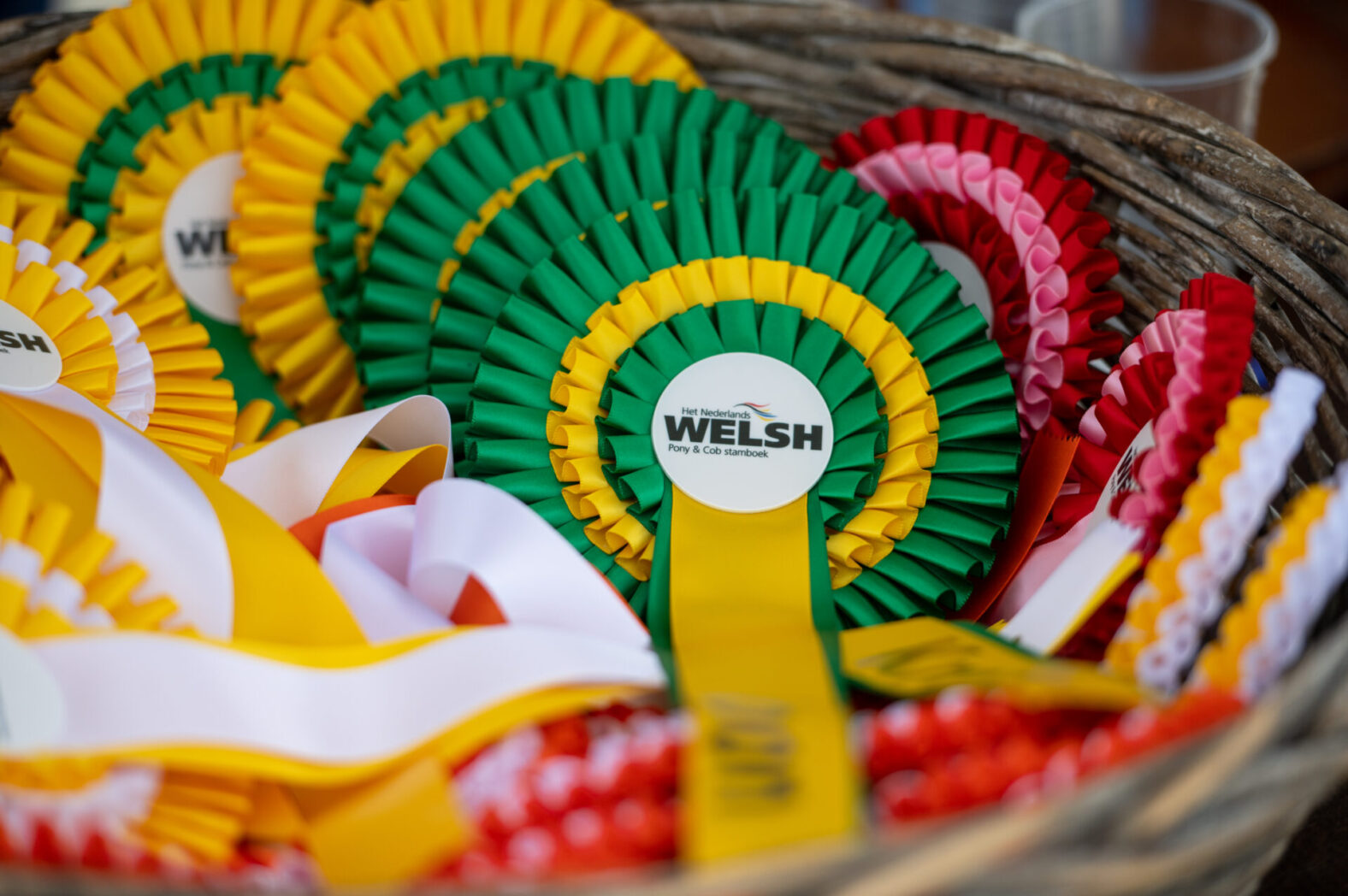 rozetten Welsh keuring