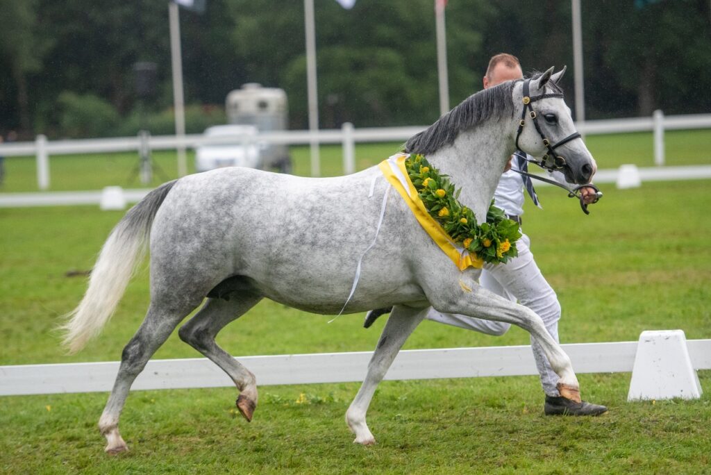 Stougjeshoeve Estelle