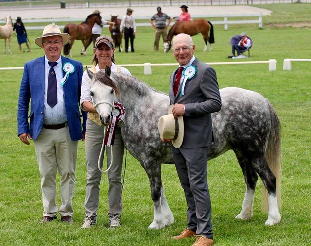 Gerrit van Beek en Ad Beekman met de overall champion section A Troon Eclipse