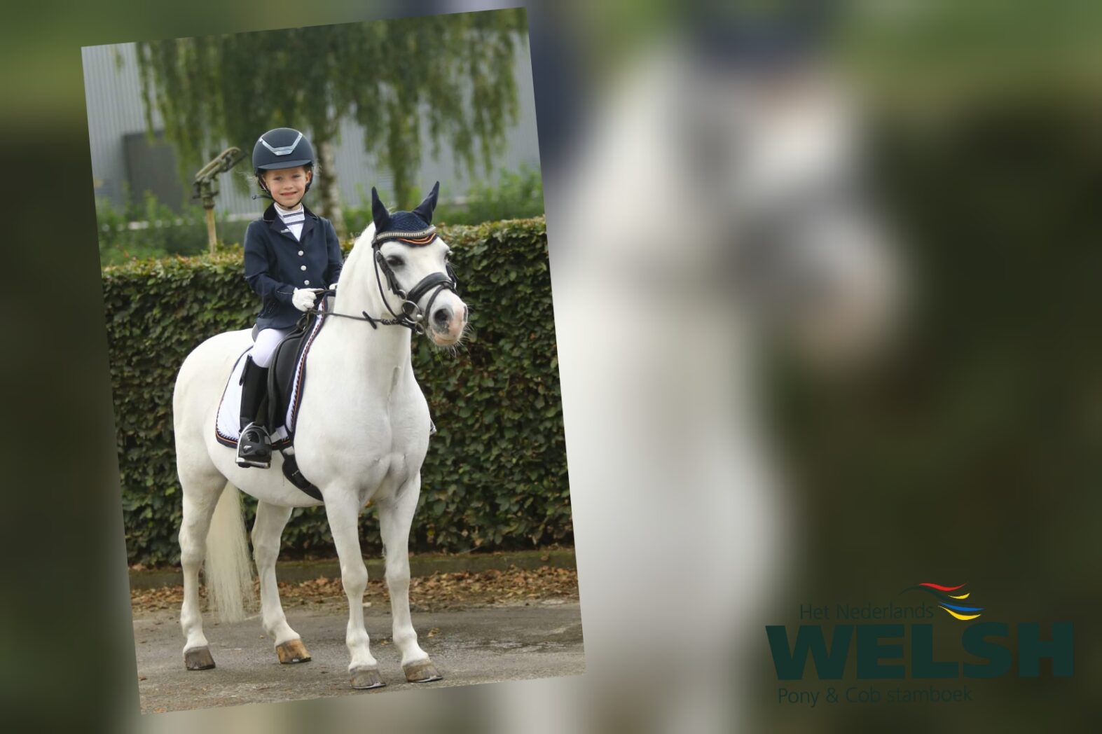 Loo's Morgan Leukste Oude Welsh 2022