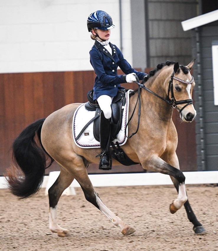 Isabella Karajkovic met Dreamboy