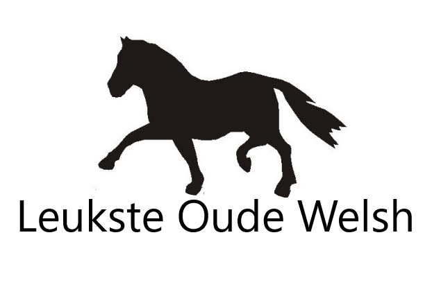 Leukste oude Welsh
