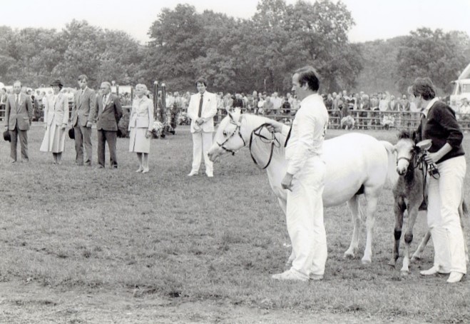 nostalgie: Molenweide's Eelene met veulen Singel's Pinup op jubileumkeuring, 25 jarig jubileum