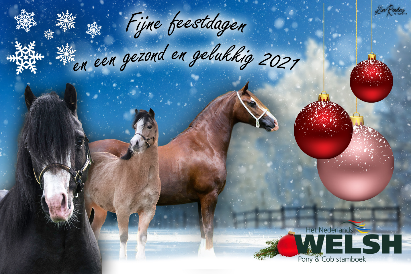 NWPCS kerstwens 2020 Kim Renders
