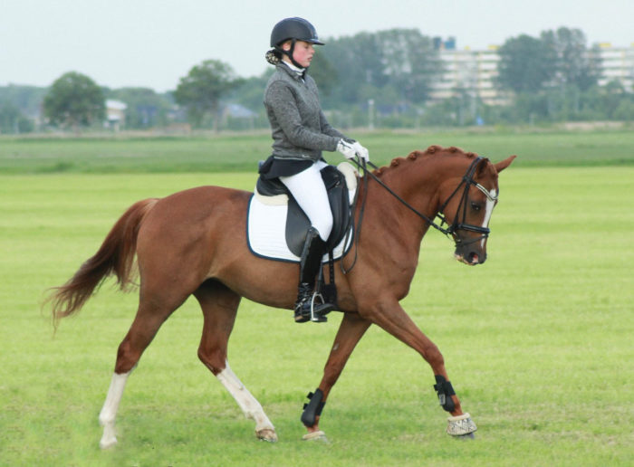 Nina Spoor met De Goede Ree's Iris