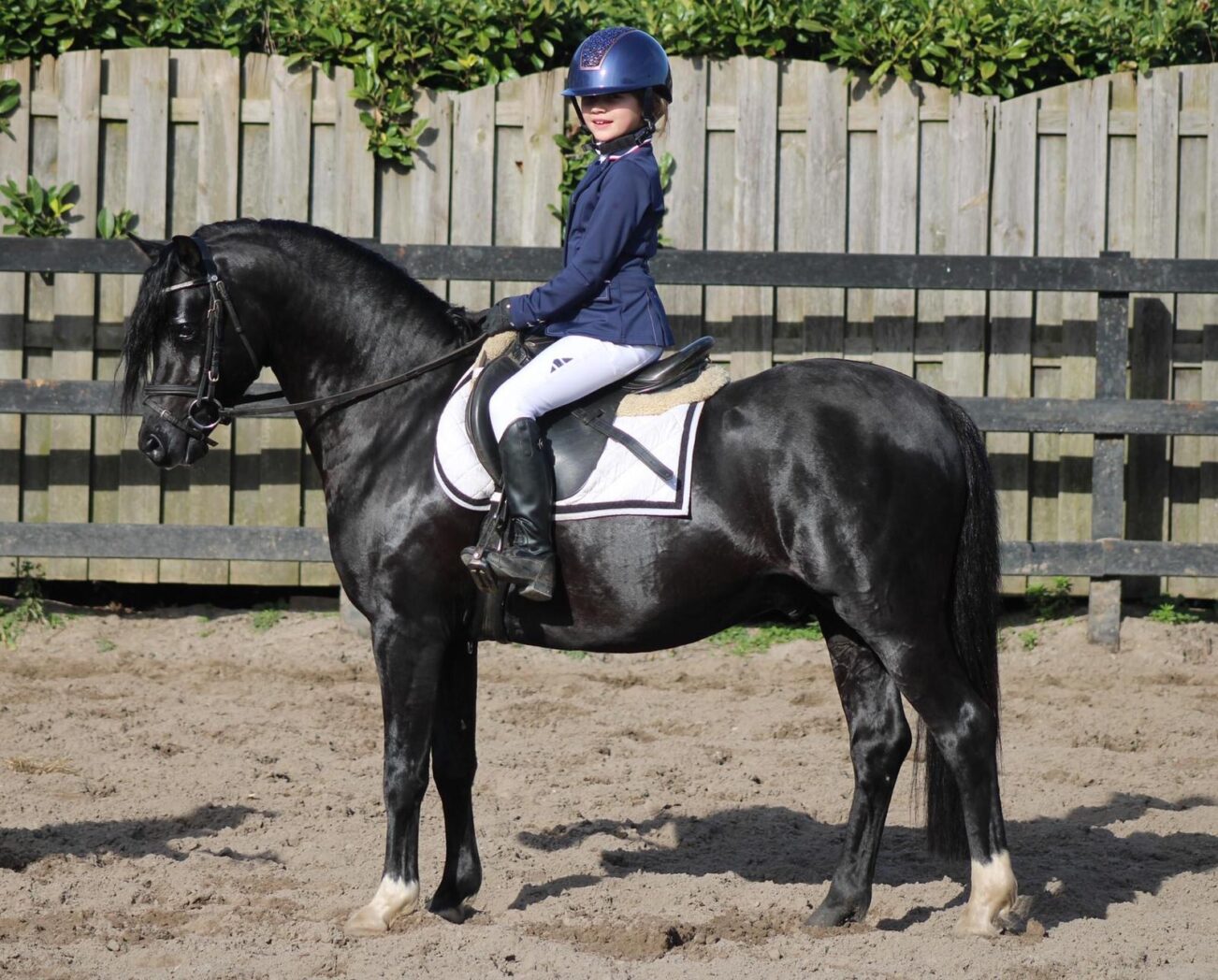 Samorens Masterclass met Anwen Zoet