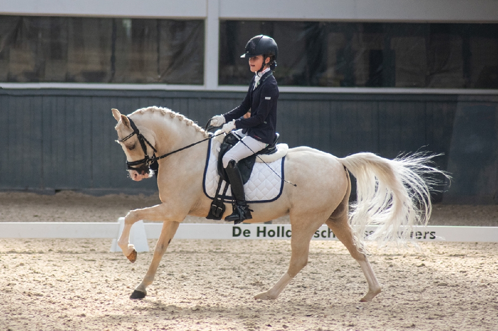 Sanne Glissenaar met Golden Dream