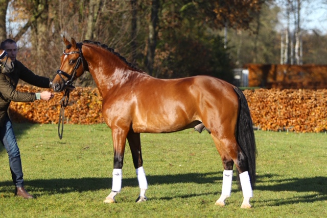 Spoorzicht's Jupiler