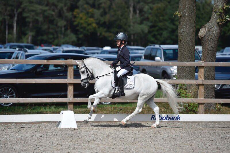 Tess van den Hurk en Prins Beatle (Powys Sprite x Friars Morning Cloud).