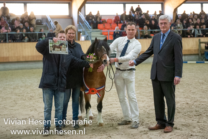 Vechtzicht's Cymro Bach