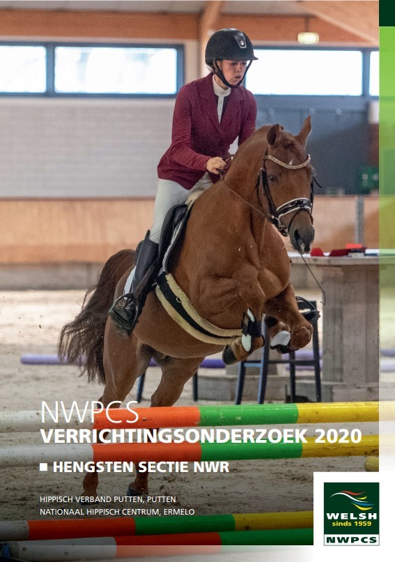 Verrichtingsonderzoek 2020