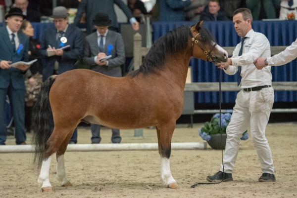 Vollenhofs galactic power