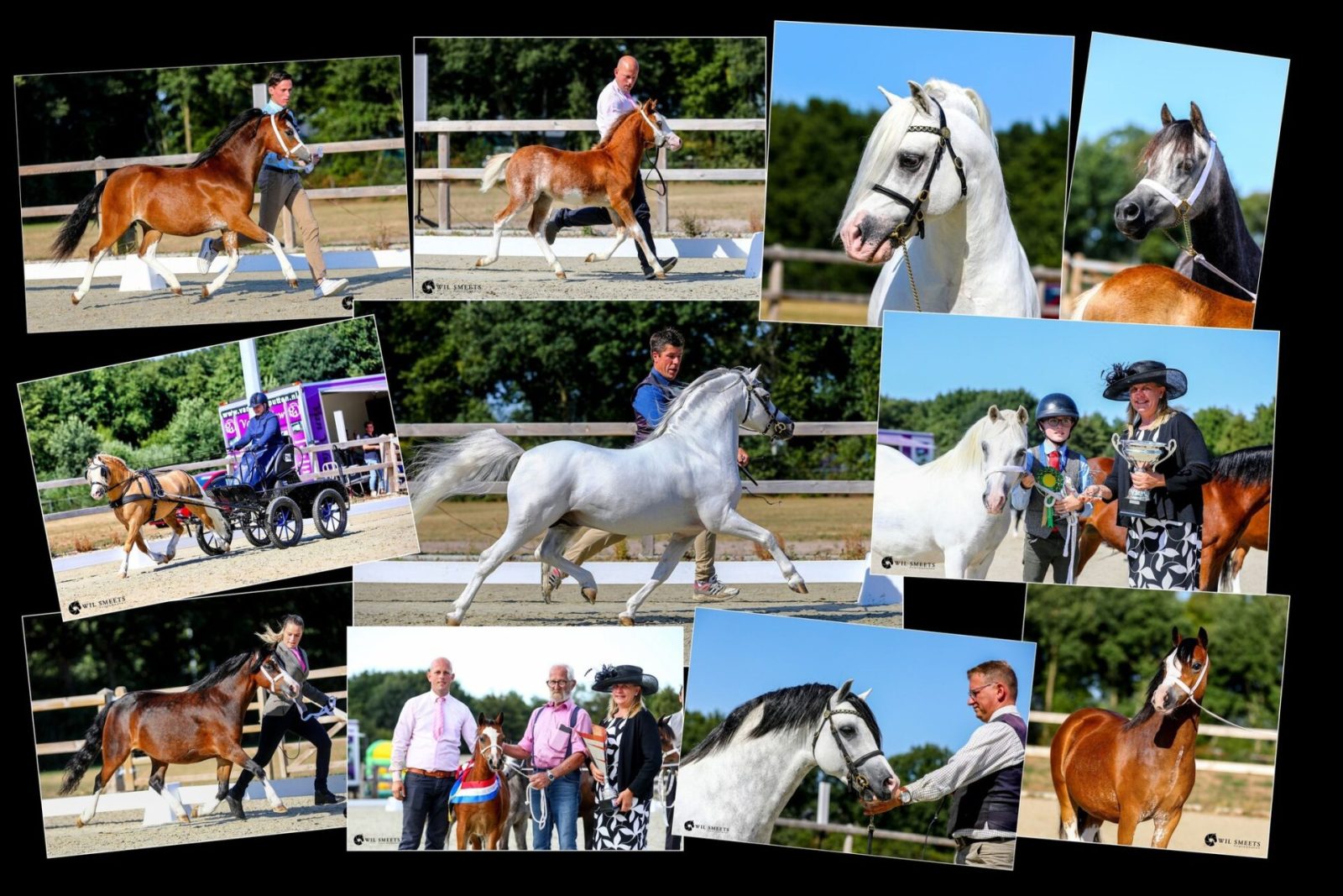 Vriendenkring 2022. Fotocollage Wil Smeets