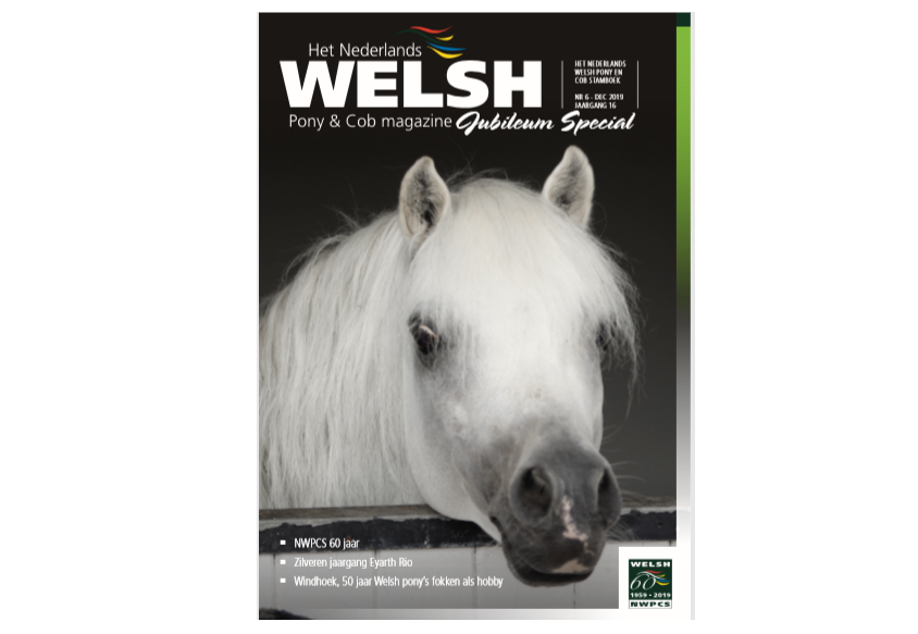 Welsh Magazine 6-2019