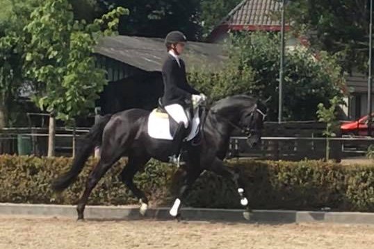 Westerhuis Cupido Divoza Cup 2018