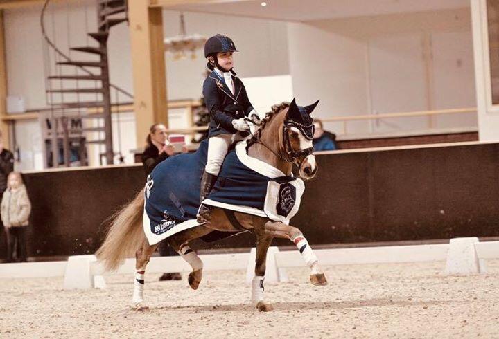 Yelin Kayalar met Heidepeels Constantijn