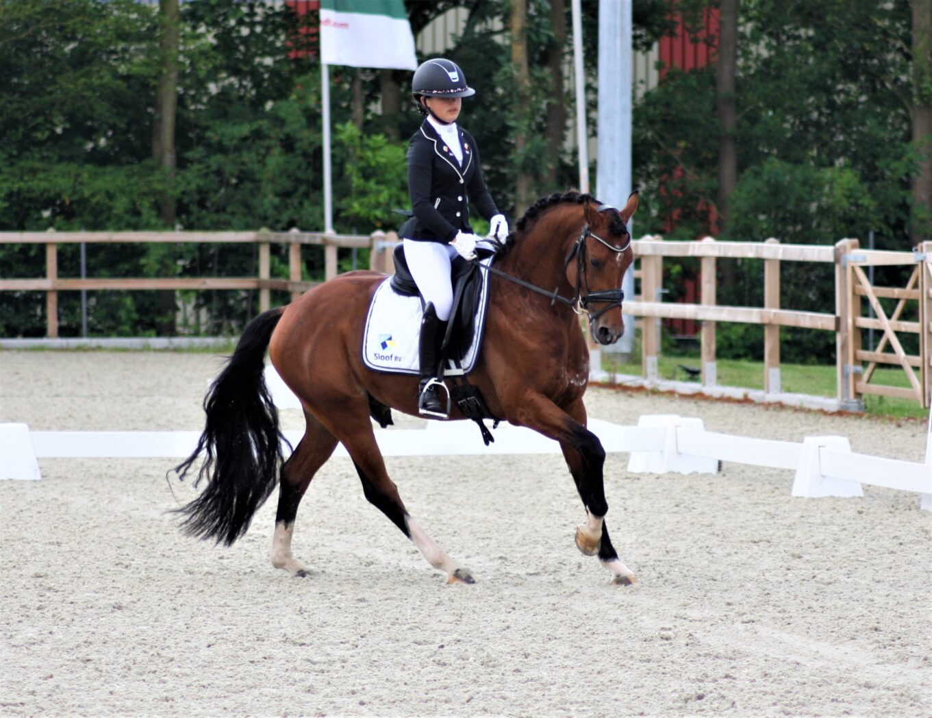 Yelil kayalar met Spoorzichts Jupiler