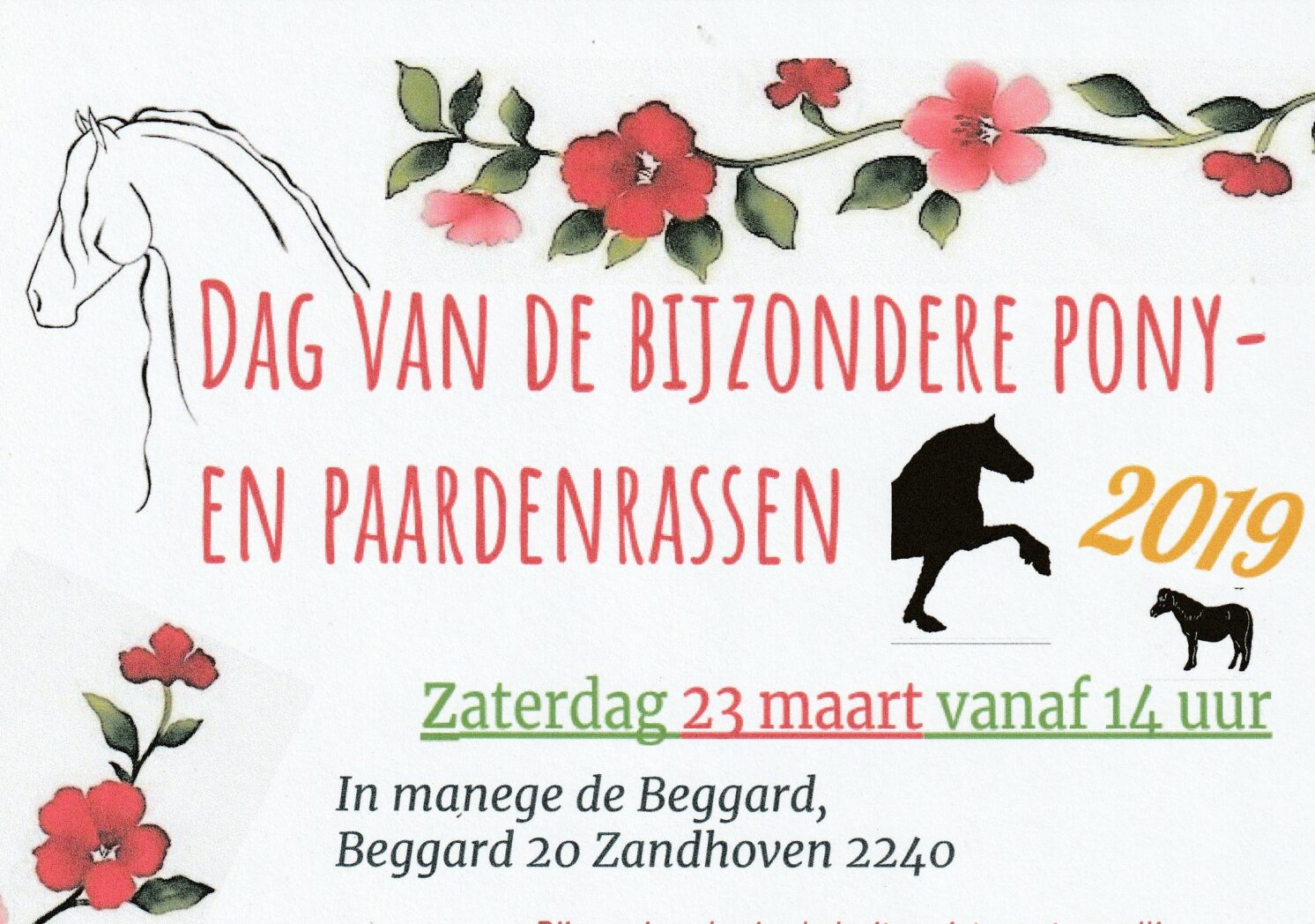 affiche dag van de bijzondere ponyrassen 2019