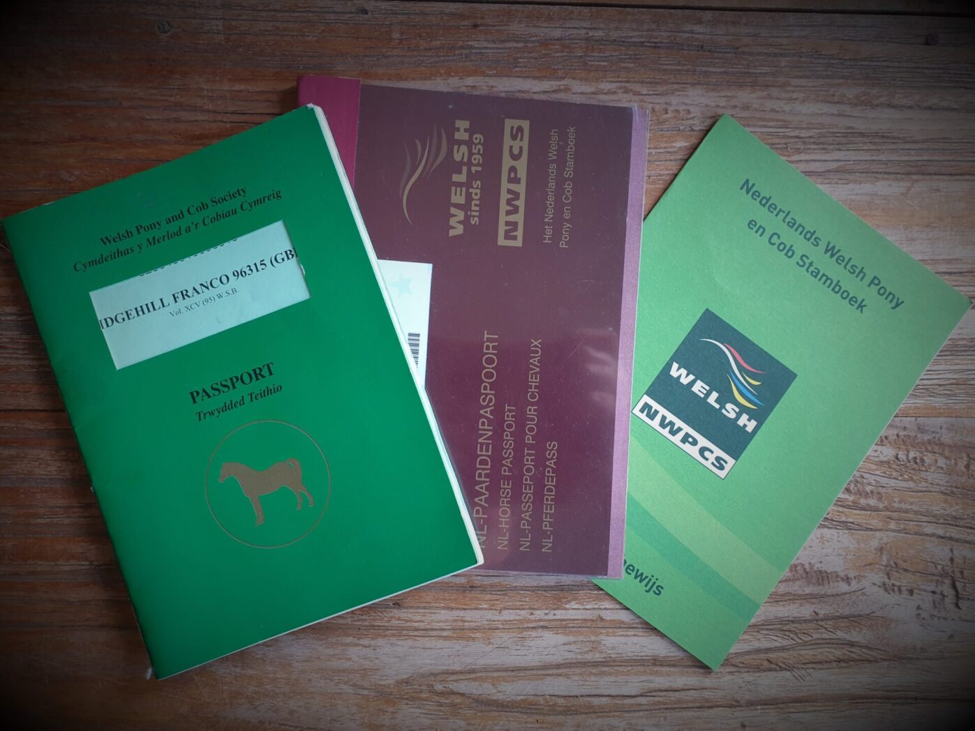 Paspoort Chip Papier WPCS