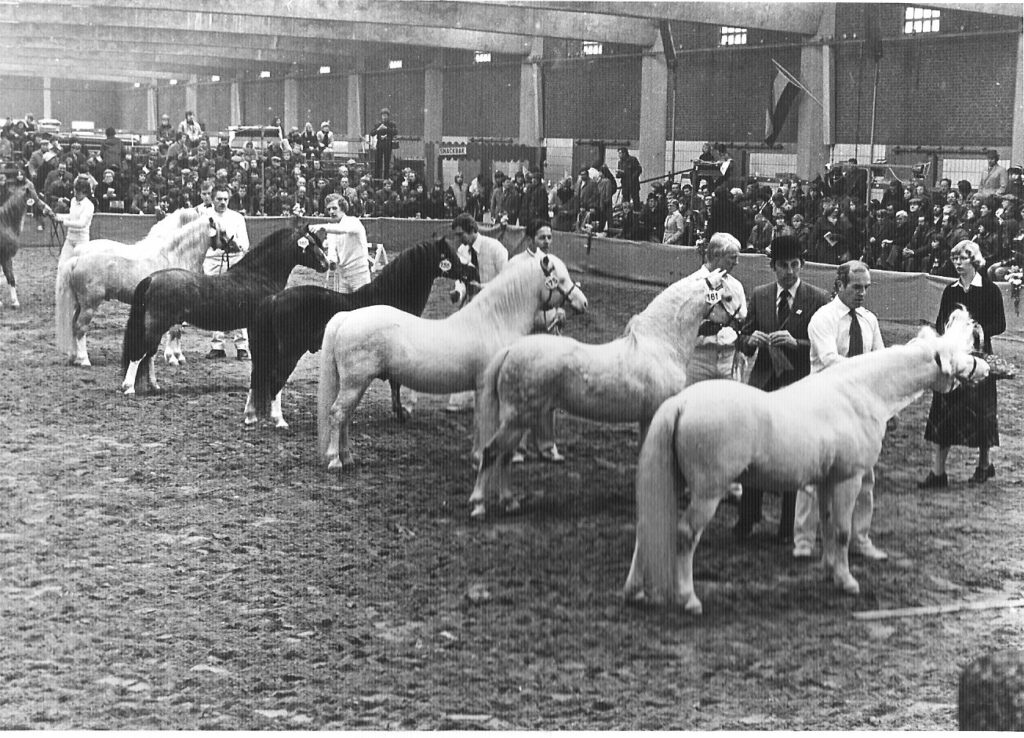 nostalgie, opstelling