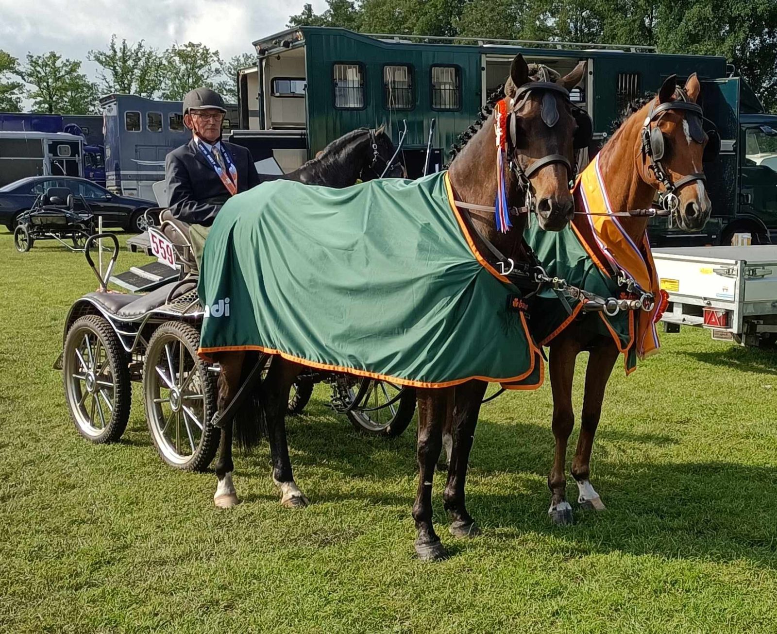 Henk van der Weerd Hippiade mennen kampioen vaardigheid