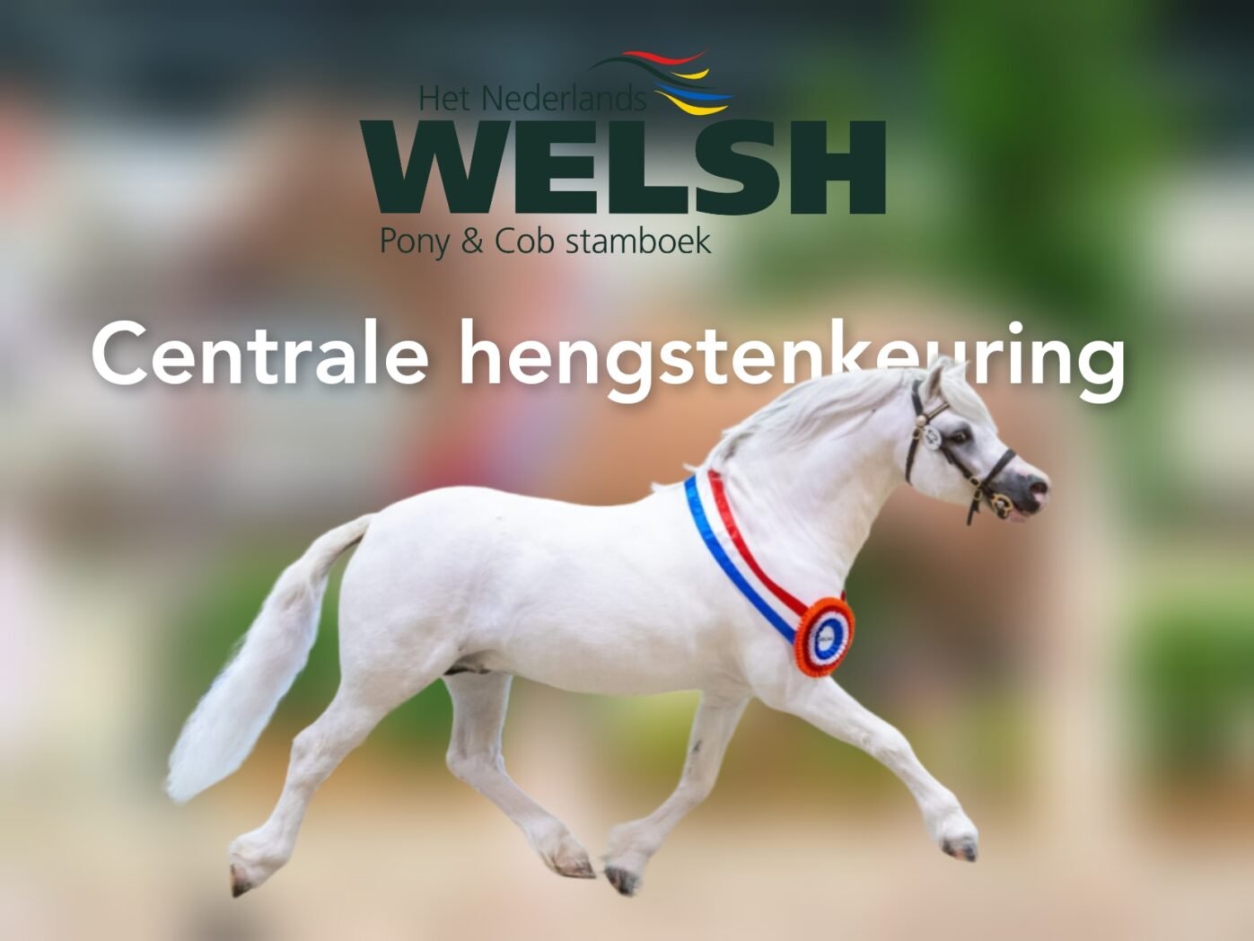 Centrale hengstenkeuring chk