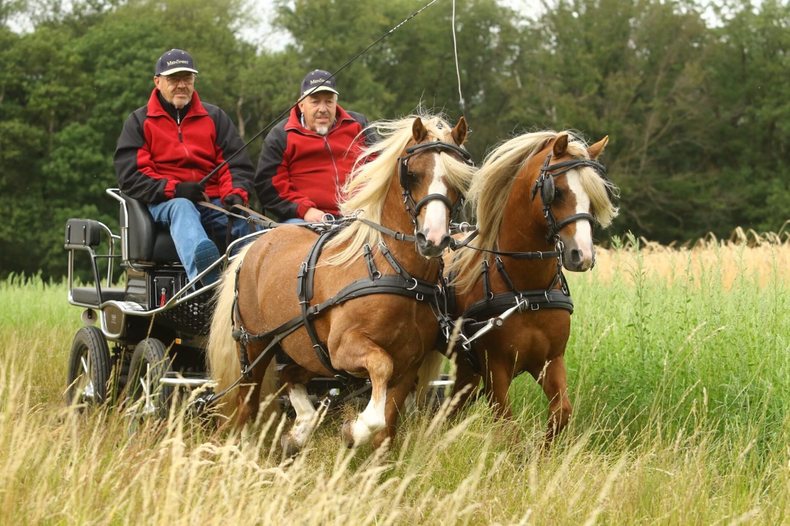 Han en Erik Wesselink, toerrit