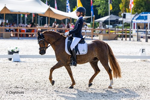 Ima van der Velden werd Hippiadekampioen met Woldberg's Tobias (v. Den Deel's Jarno) in de Z dressuur categorie C. © Digishots