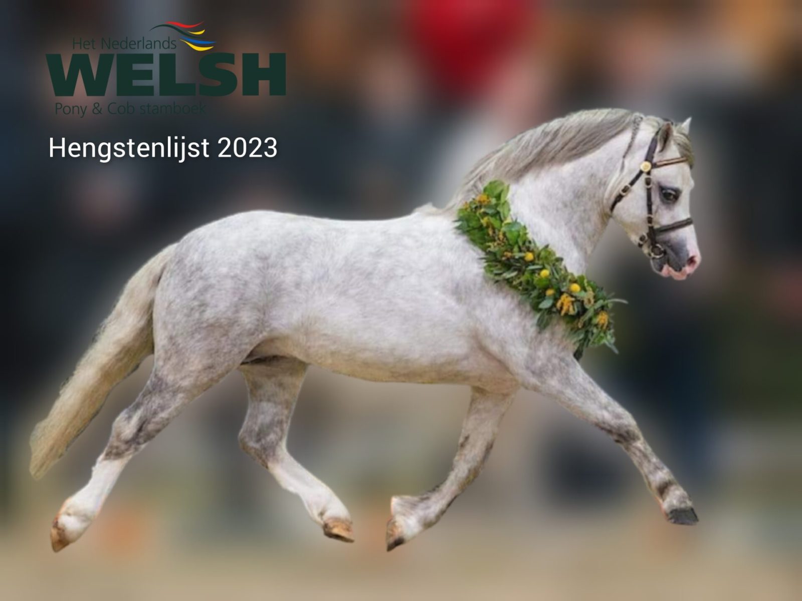 hengstenlijst 2023
