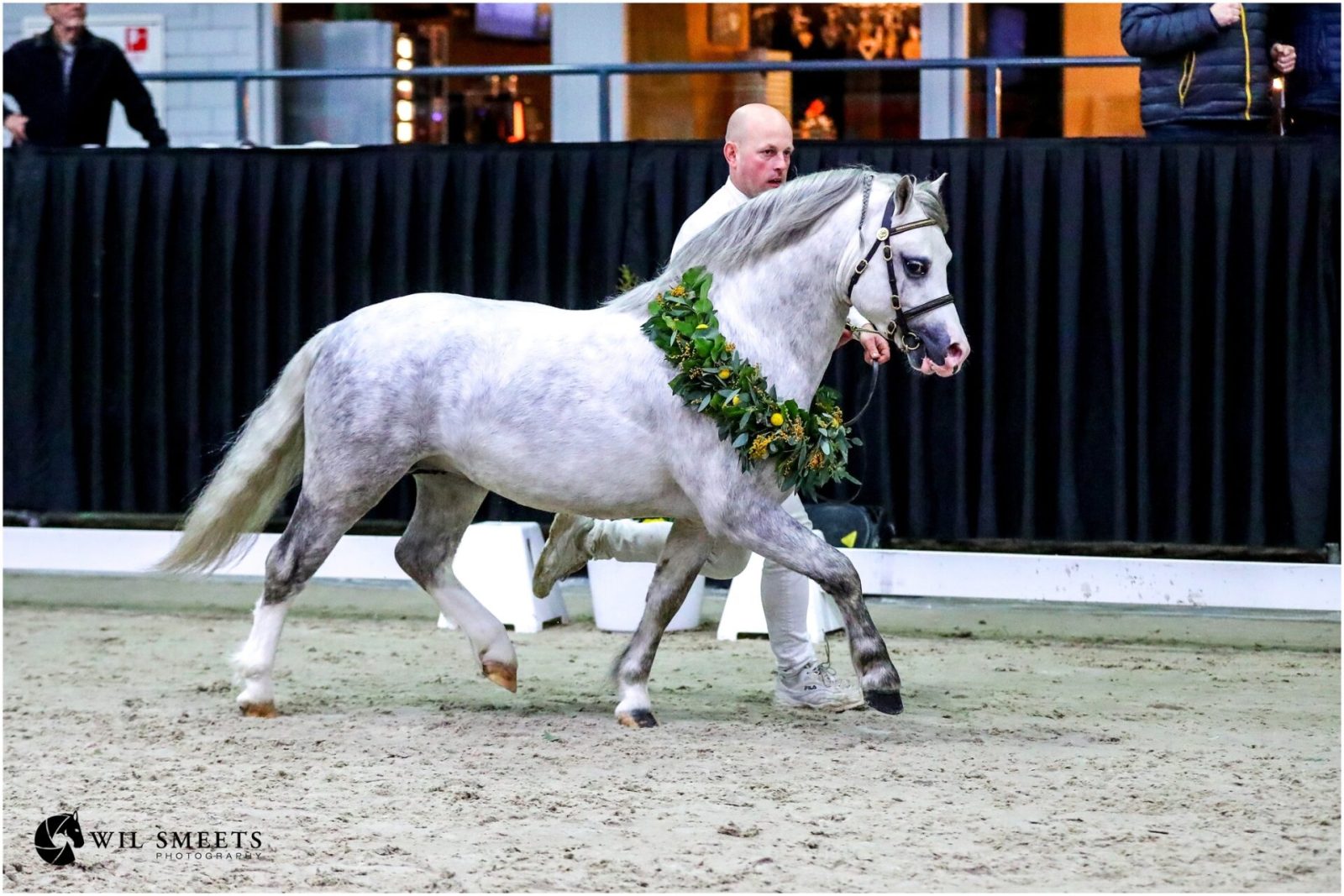 Selehems Olsen Algemeen dagkampioen chk 2023