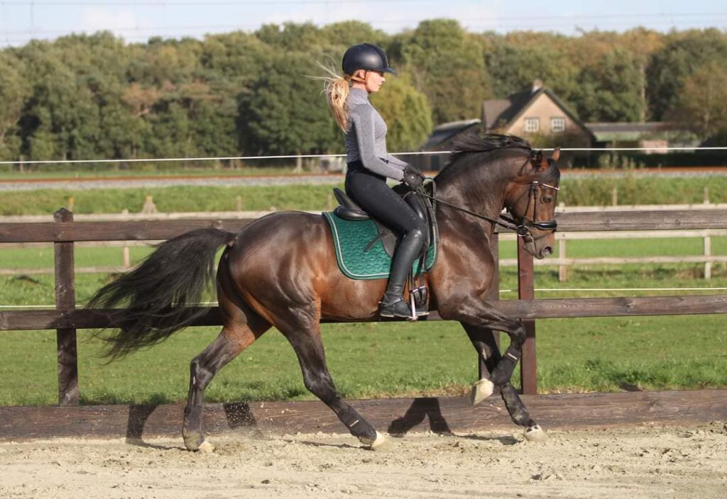 Spoorzichts Red Flyer