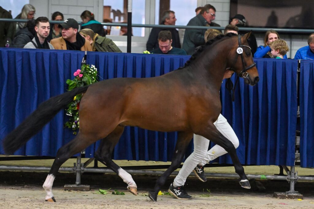 Westerhuis Mercury foto Vivian Hesen