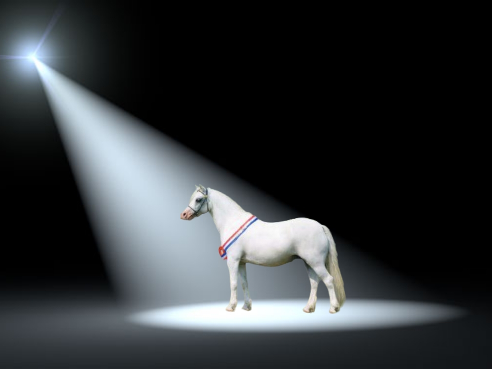 spotlights op predicaten