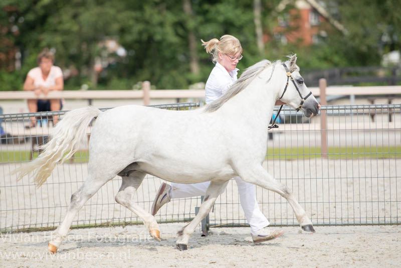 Oldenzijlster Beauty