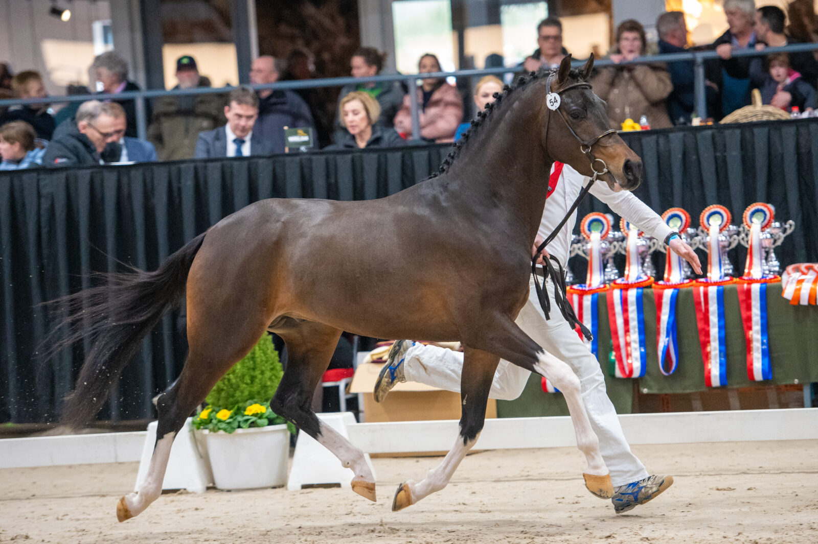 Fleetwood Mac MK Foto Vivian Hesen