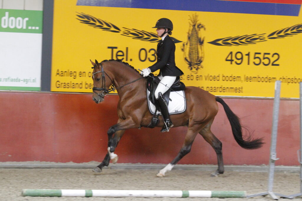 Castenrayseweg's Cassablanca Foto: Aniek Rolf