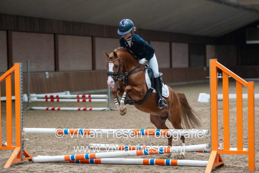 Vino De Luxe vd Eikenhoeve