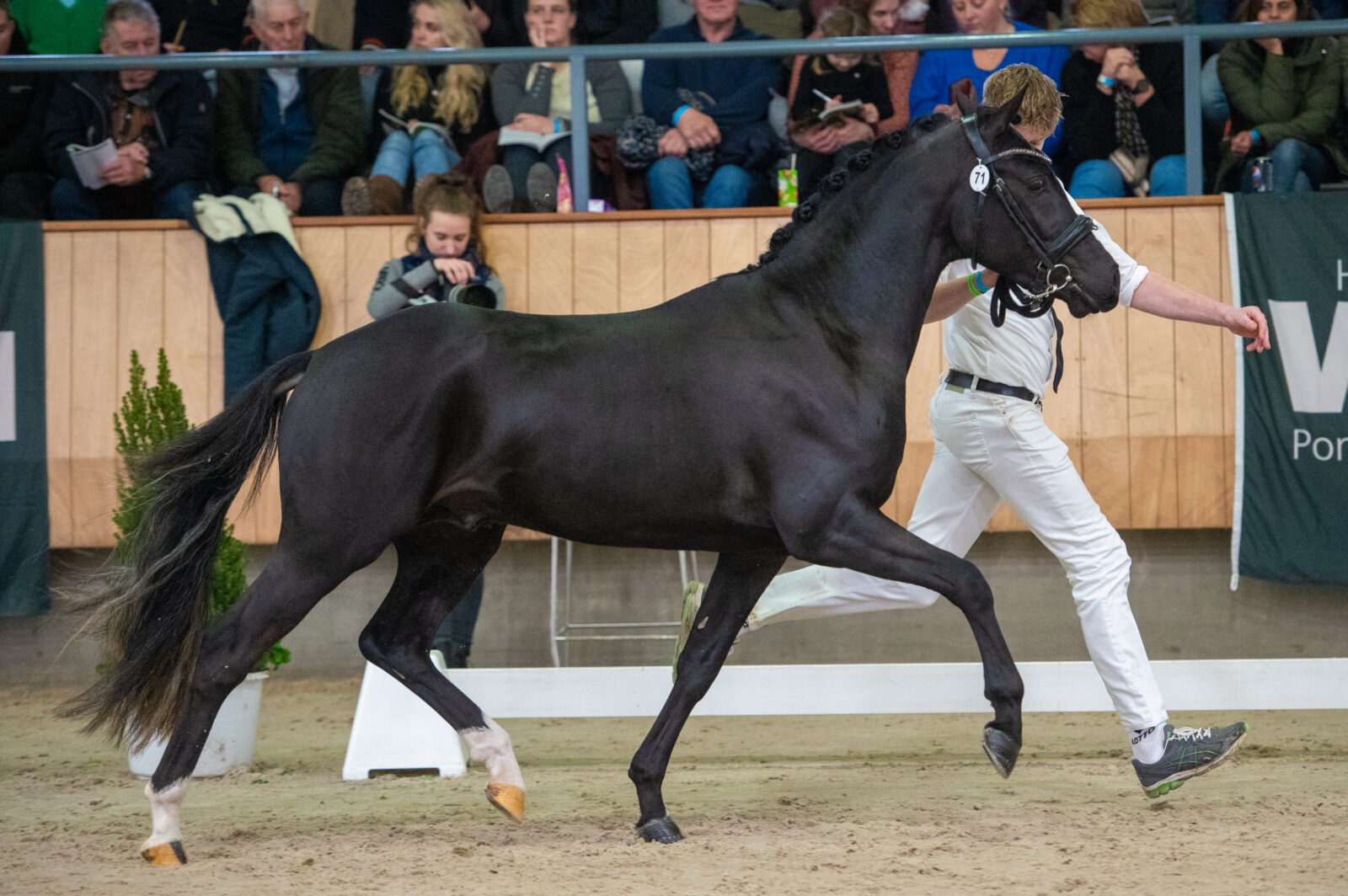Lincoln van den Hout Foto: Vivian Hesen