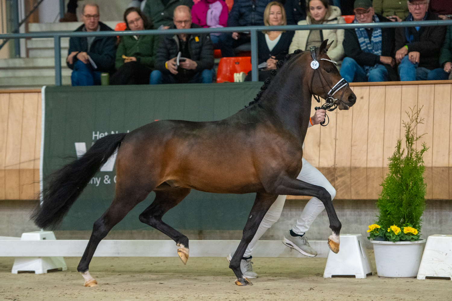 Champion NWR : une nouvelle histoire Photo : Vivian Hesen