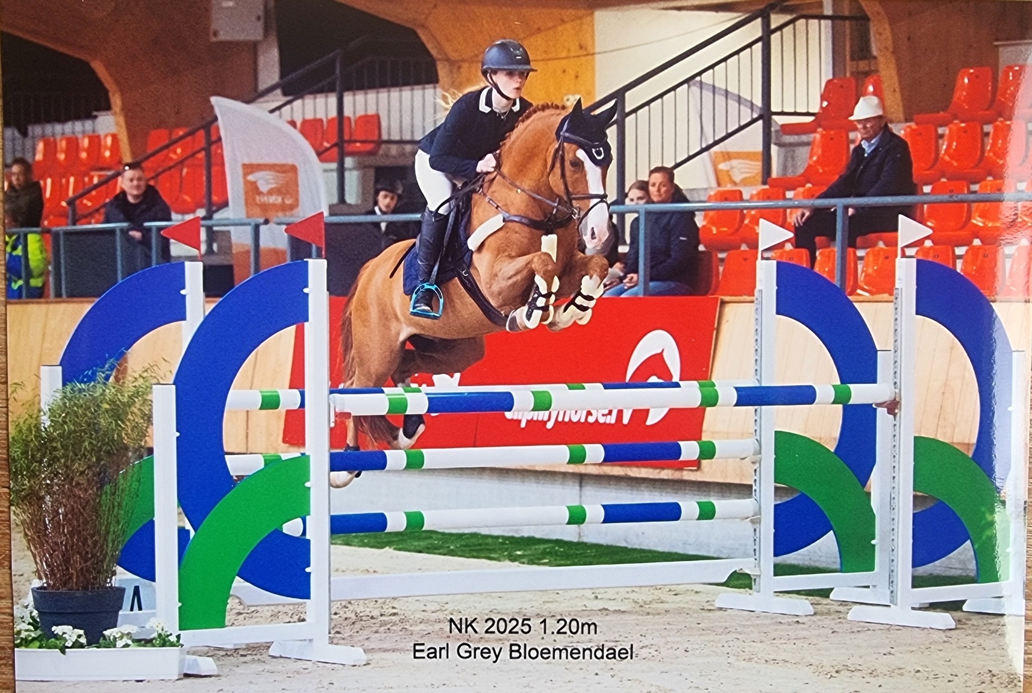 Earl Grey Bloemendael