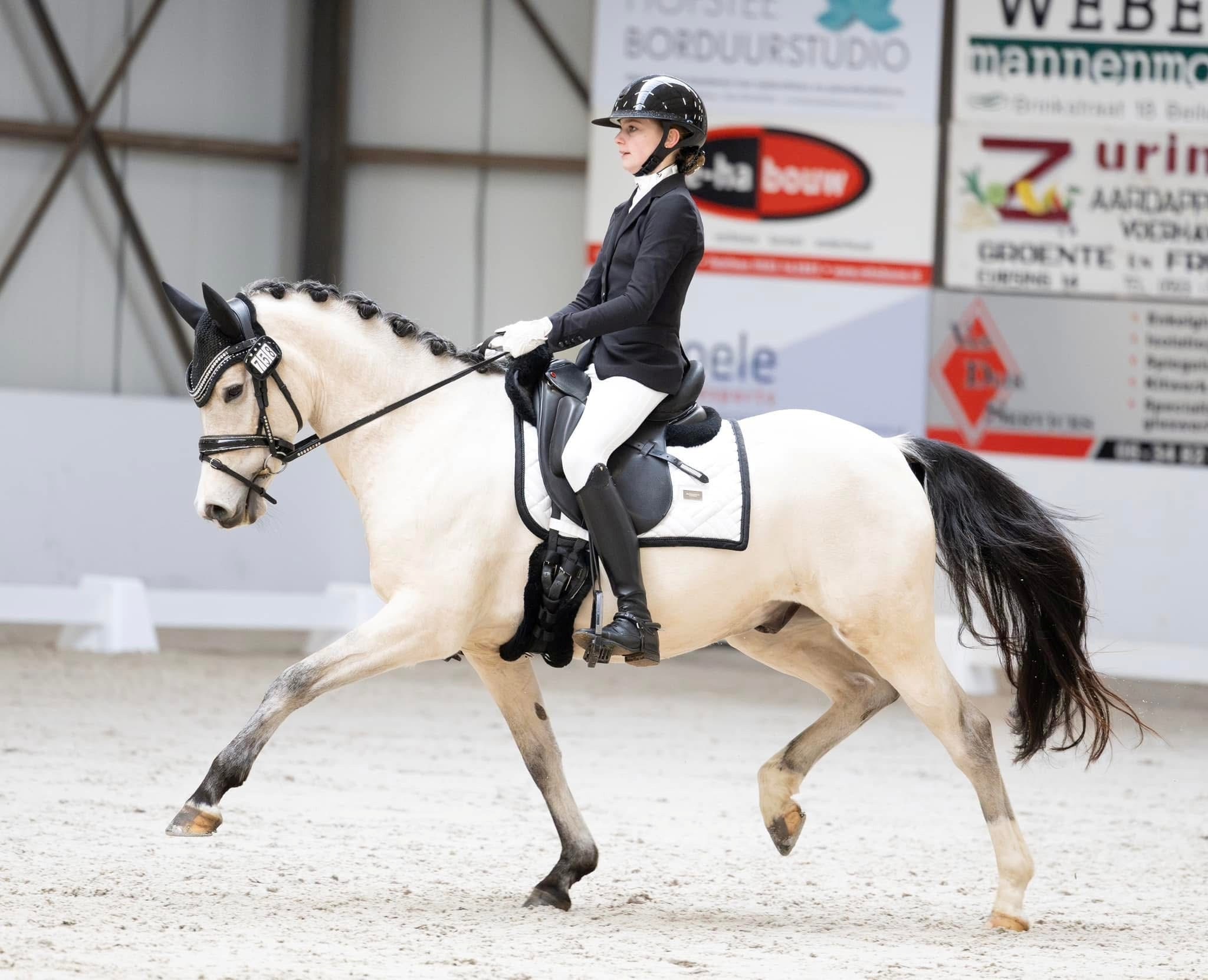 MILENTE'S PERRY PRYCE