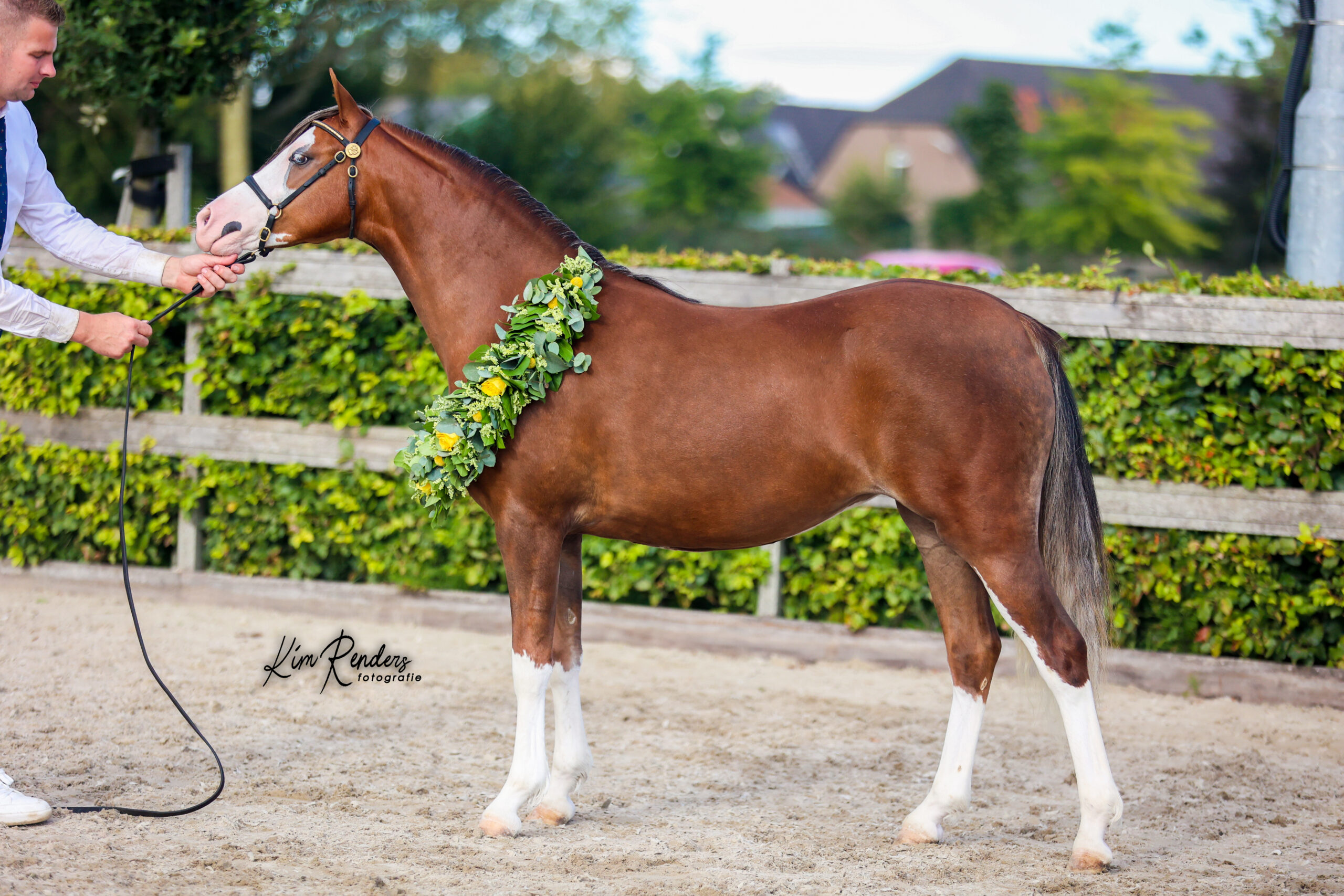 Championne du jour CK 2025 : Parallels Alenka Photo : Kim Renders